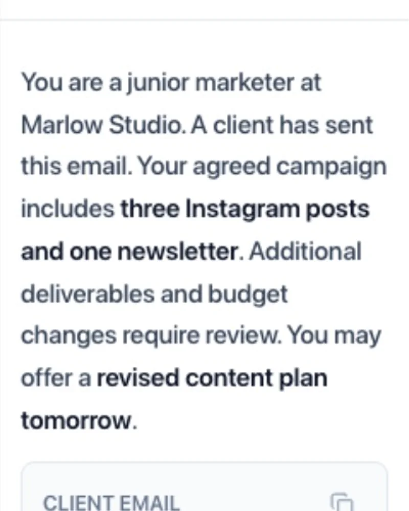 A learner reads the Marlow Studio brief, the client email and the activity steps.